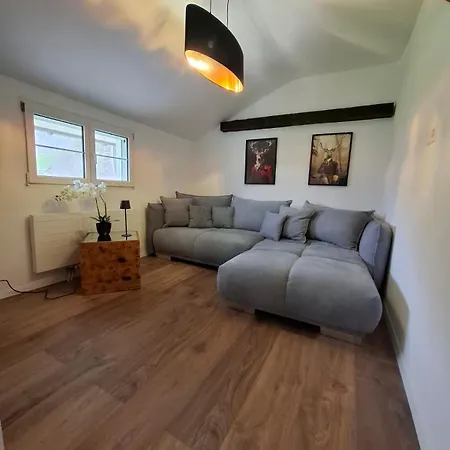 Bijou Hollandia Holiday home Engelberg