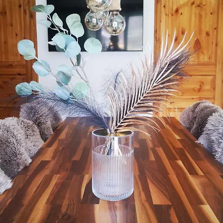 Tatil Evi Bijou Hollandia Engelberg