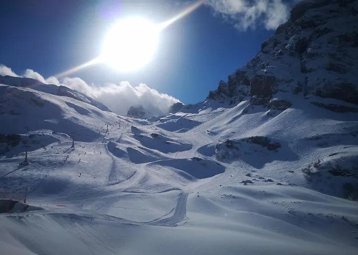 Bijou Hollandia Holiday home *