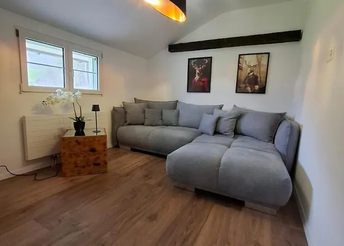 Bijou Hollandia בית נופש אנגלברג